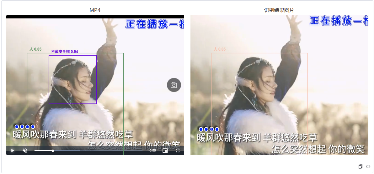 视频识别